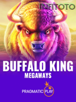 Buffalo King game cover